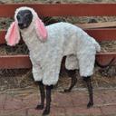 Sean Pyne - @DextrousLemon - Twitter