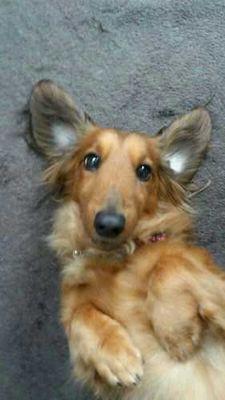 T_Ka0711's profile picture. 