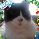 Alberto Rendon - @albertorendon12 - Twitter