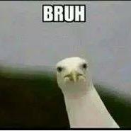 LIVE0FFS0CCER's profile picture. hi everyone