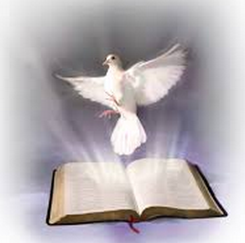Cristianos Digitales: ¿POR QUÉ NOS CUESTA TANTO LEER LA PALABRA DE DIOS?