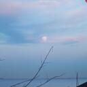 Jeannie Steele - @aromamuse - Twitter