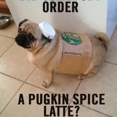 Sodopefly's profile picture. 