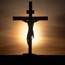 Raymond Shields - @ShieldsRaymond - Twitter