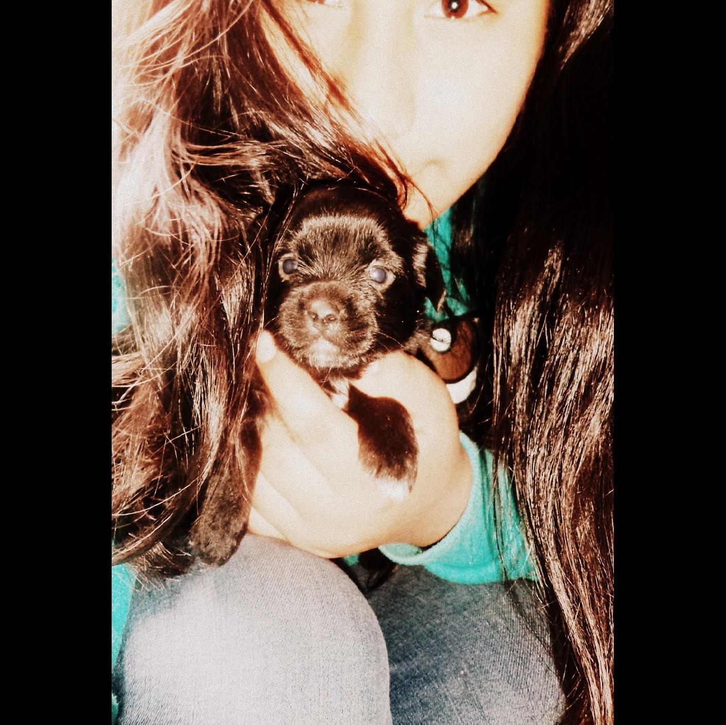 maryorithcondor's profile picture. sigo a todoss.