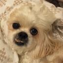 Daisy Sierra - @rafyjulio - Twitter