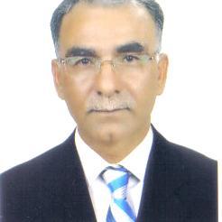 Araştırmacı Yazar