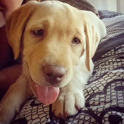 kate123mcintyre's profile picture. 