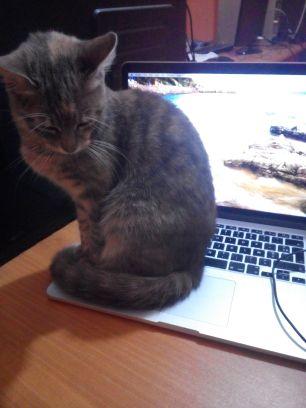 sida3lo's profile picture. the best way to predict the future is to create it