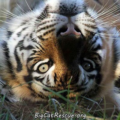 aubieal0878's profile picture. 