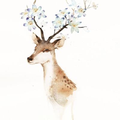 125J33j98Gd9SiF's profile picture. 