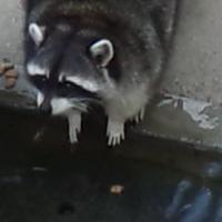 じじじ (@kb5500768) 's Twitter Profile