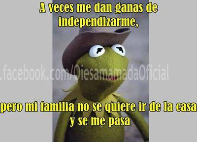 ALVINw0's profile picture. 