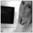 Malin_Wik's profile image