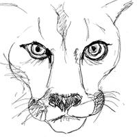 Sara Dowse (@saradowse) 's Twitter Profile Photo