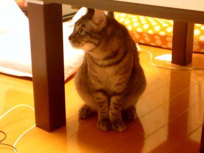 主にゲームの話とゲーム実況の話とその他諸々

https://t.co/BWQ6GH4gG7