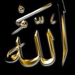 rym12374's profile picture. 