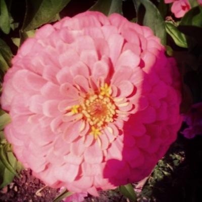 Randompodcast6's profile picture. A weekly podcast about stuff