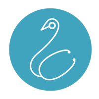 Swansea Medsoc (@swansea_medsoc) 's Twitter Profile
