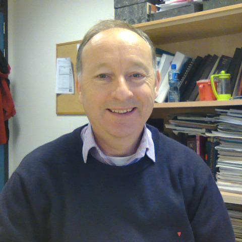 Full Professor of Advanced Drug Delivery at University College Dublin