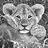 wildphotoafrica's profile image