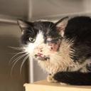 Robert Dinger - @rdd70 - Twitter