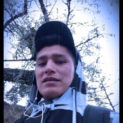 Alejand95840445's profile picture. 