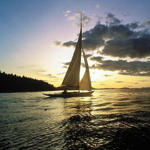 semgunes1's profile picture. hi