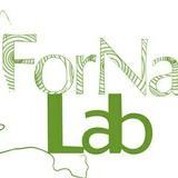 Forest & Nature Lab(@ForNaLab) 's Twitter Profile Photo