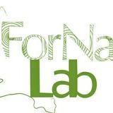 Forest & Nature Lab (@fornalab) 's Twitter Profile