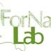 Forest & Nature Lab (@ForNaLab) Twitter profile photo