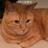 clalalarin's profile image