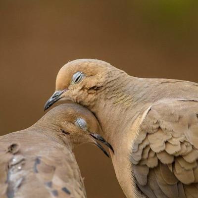 ParsWattangop's profile picture. 