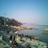 nidhichawla79's profile image