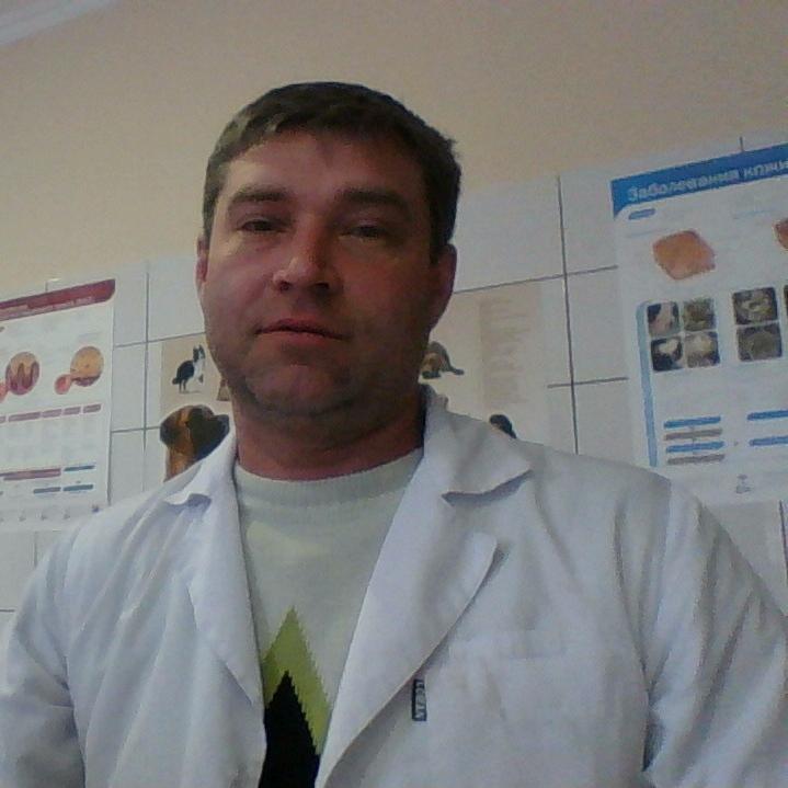 SergeiNasonow's profile picture. 