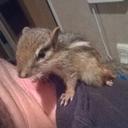 marc stanton jarrell - @soonerjar - Twitter