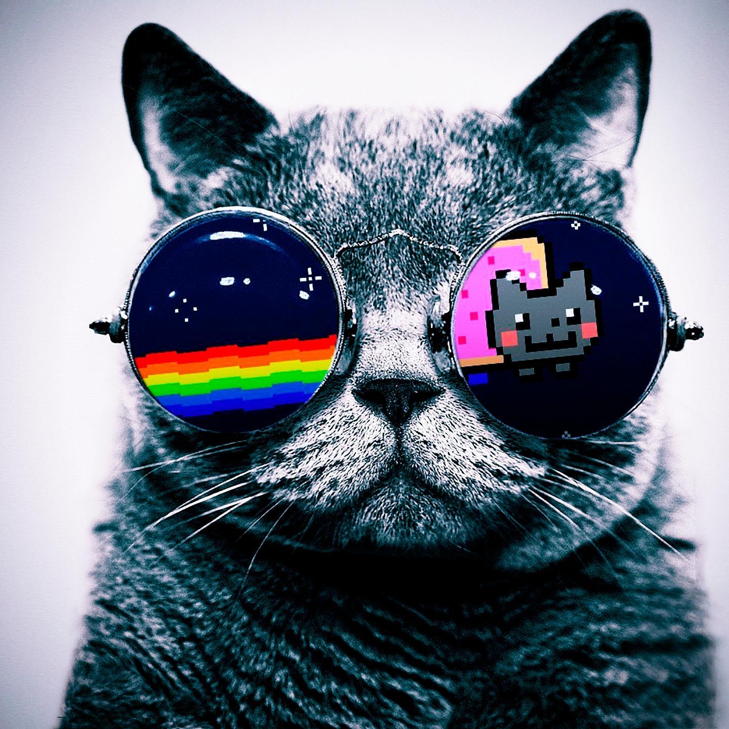 Sup Peoples, I Spin On War Games, Make COD Clips Look Pretty, And Also While Im At It, I Make Pictures Look Pretty As Well. (Also Graphics For Minecraft.)
