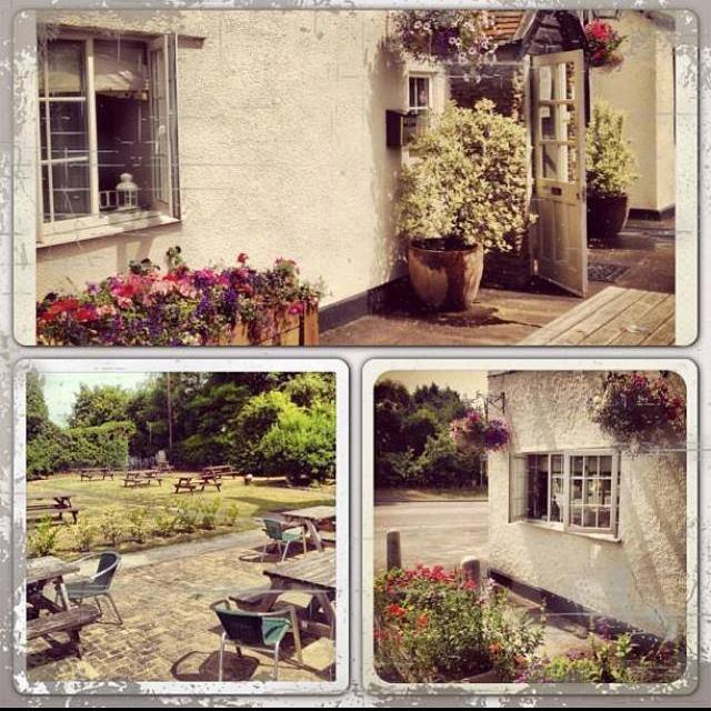 TheSwanAtNibley's profile picture. We embrace the principle of good food in relaxed surroundings and always endeavour to use the best of ingredients and buy locally wherever possible.