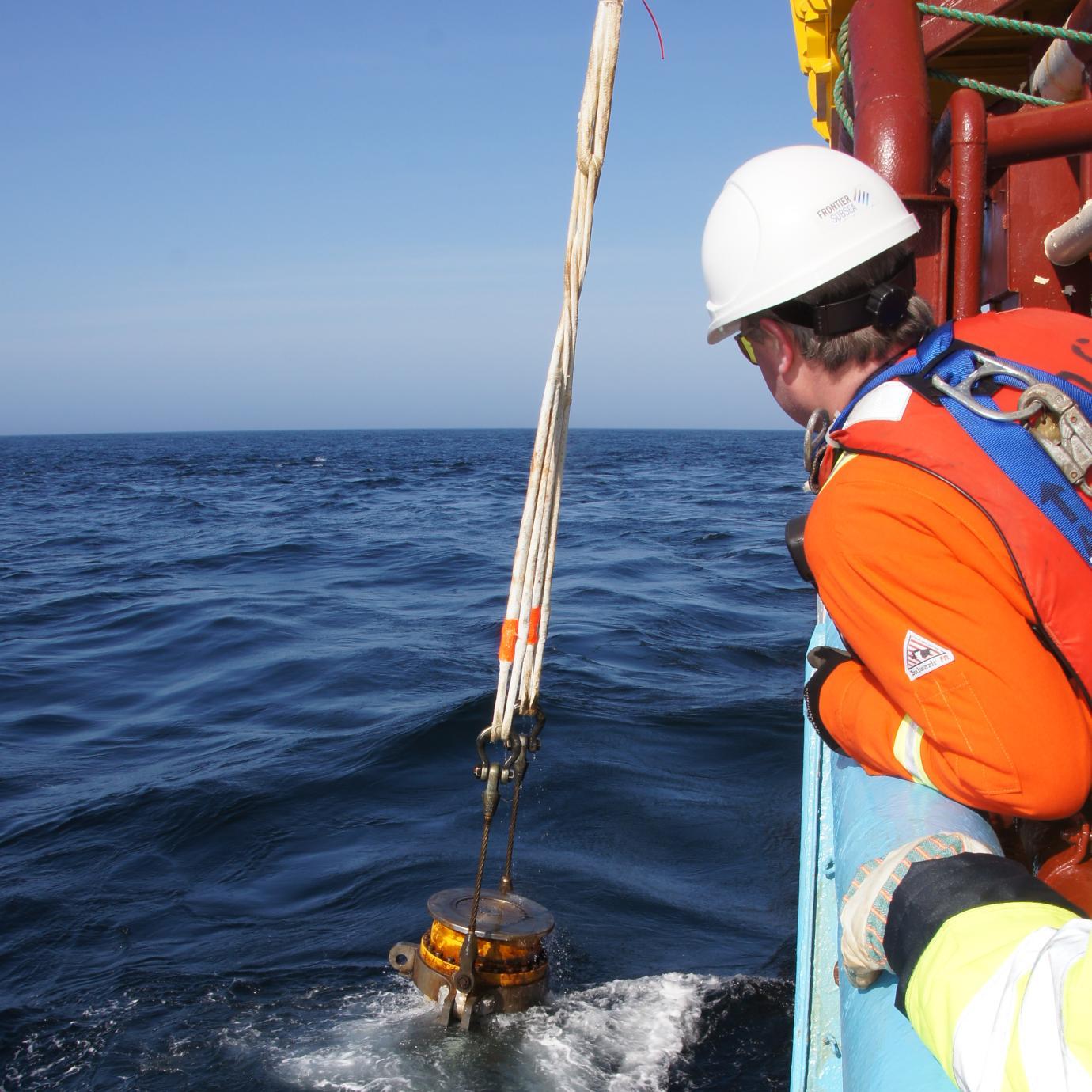 warddavery's profile picture. 