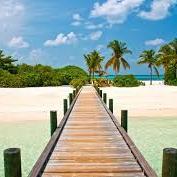 largegoodways's profile picture. 