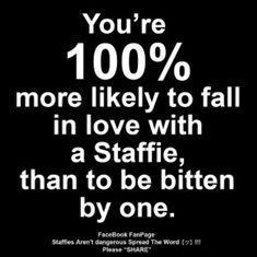 Changing perceptions of loving, friendly Staffordshire Bull Terriers! get to know them here https://t.co/7G2CIKAklY