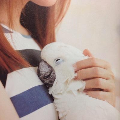 15_xoxo_777's profile picture. 隠す気のない趣味アカ💫 16年前からaiko🎤🐶が生きがい❤︎❤︎ 漫画📚 ジブリ🌱 ディズニーピクサー🎥 鳥さん🦜 赤色🍎 ファッション👗 ポケモン⚡️ ジャック・オ・蘭たん🎃 among us🚀 だらだらする💁‍♀️