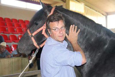 Veterinario clinico equino
Quiropracta animal
Osteopata de personas