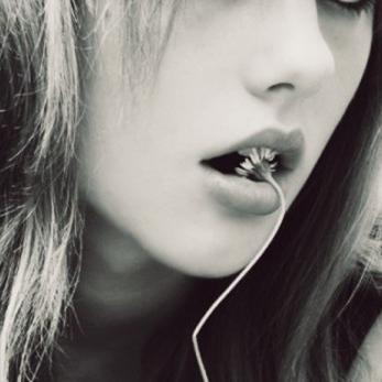 auskianners Profile Picture