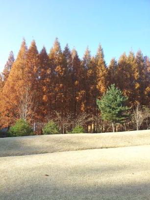 bangju1009's profile picture. 