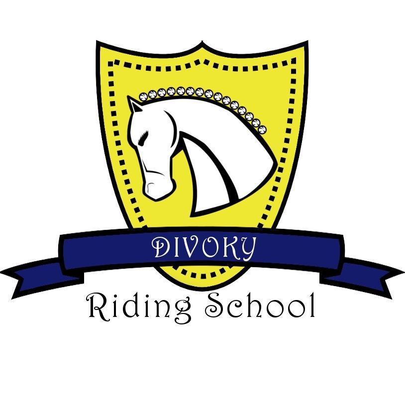 Divoky Riding School caters to everyone's needs. We have plenty of amazing horses and a dedicated team of teachers.