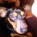 Alan Randall prater - @randy_prater - Twitter