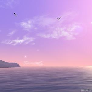 forexample0726's profile picture. 