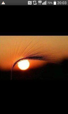 La gente duerme en un mundo que apenas es real y el universo nos es raramente grande y sorprendente al mismo tiempo y eso no se define con palabras!