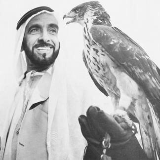 _Shkzayed's profile picture. 